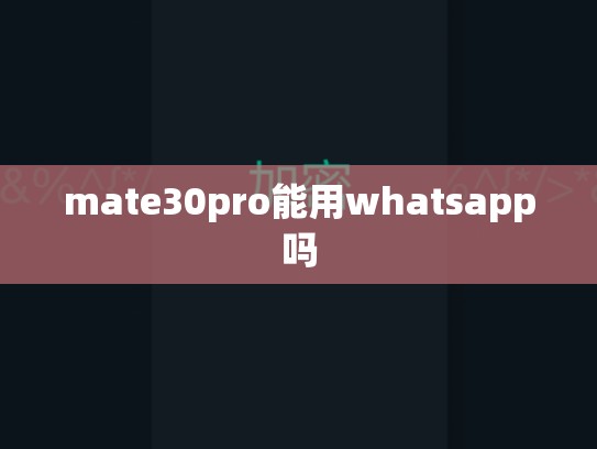 mate30pro能用whatsapp吗