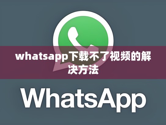 whatsapp下载不了视频的解决方法