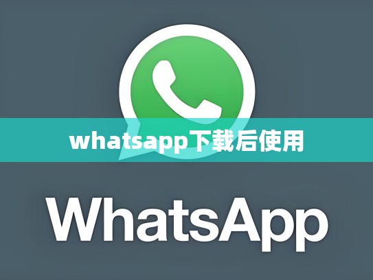 whatsapp下载后使用