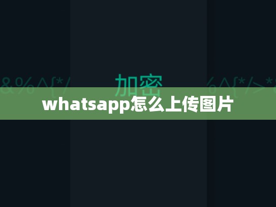 whatsapp怎么上传图片