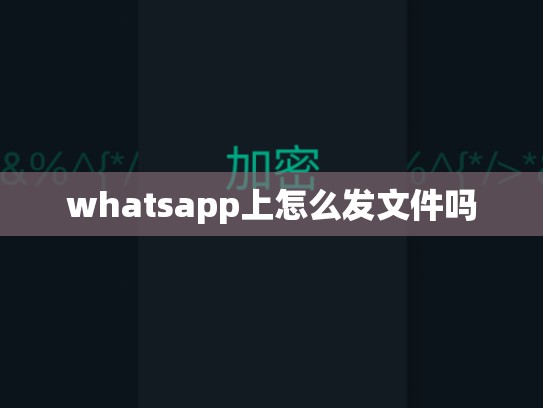 whatsapp上怎么发文件吗