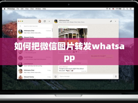 如何把微信图片转发whatsapp