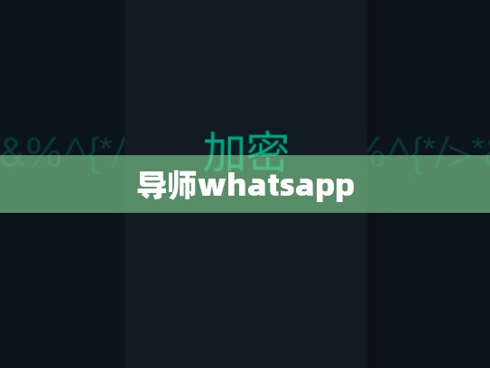 导师whatsapp