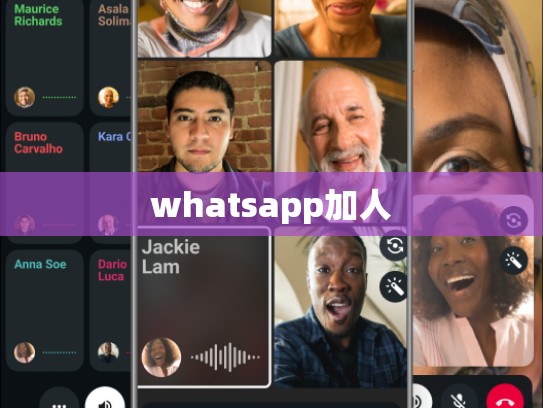 whatsapp加人