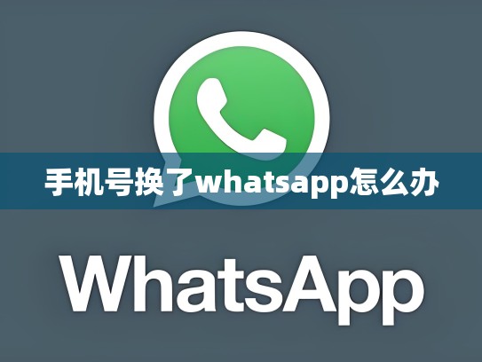 手机号换了whatsapp怎么办