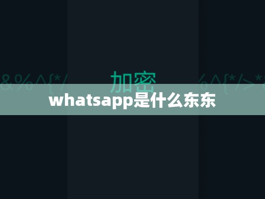whatsapp是什么东东