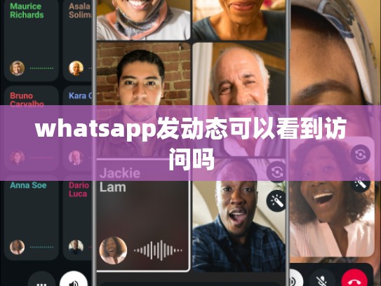 whatsapp发动态可以看到访问吗