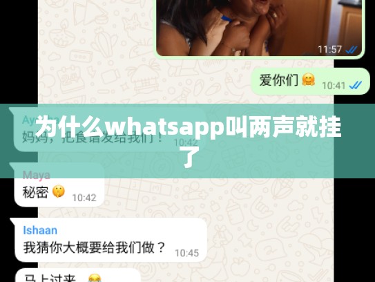 为什么whatsapp叫两声就挂了