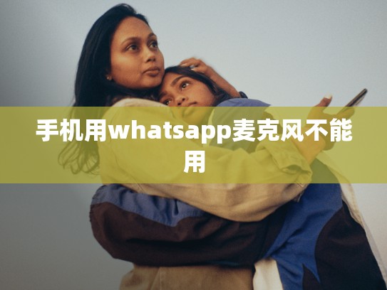 手机用whatsapp麦克风不能用