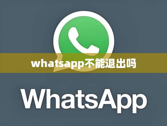 whatsapp不能退出吗