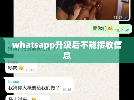 whatsapp升级后不能接收信息
