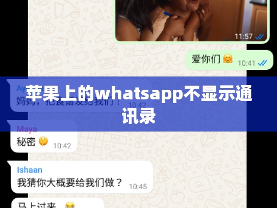 苹果上的whatsapp不显示通讯录