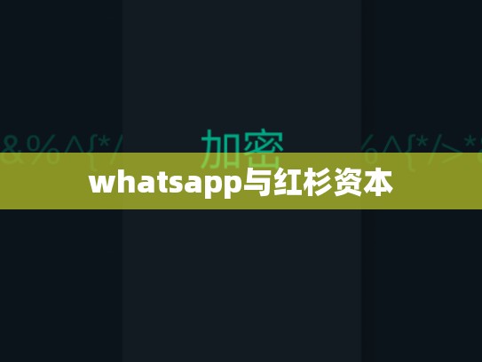whatsapp与红杉资本