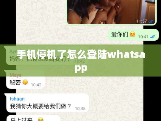 手机停机了怎么登陆whatsapp