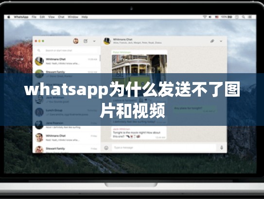 whatsapp为什么发送不了图片和视频