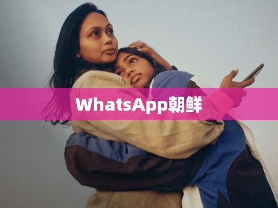 WhatsApp朝鲜