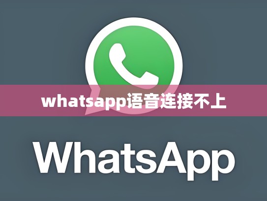 whatsapp语音连接不上