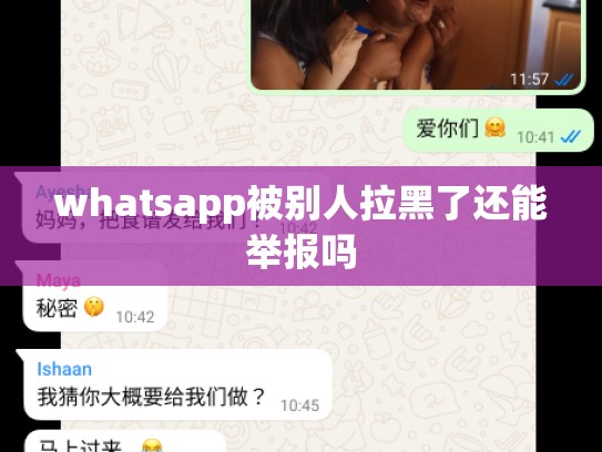 whatsapp被别人拉黑了还能举报吗