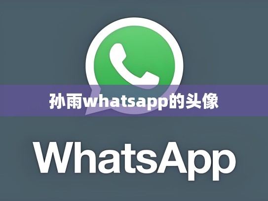 孙雨whatsapp的头像