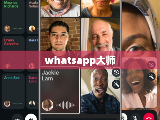 whatsapp大师
