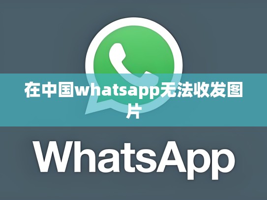 在中国whatsapp无法收发图片