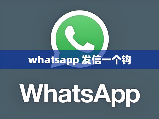 whatsapp 发信一个钩