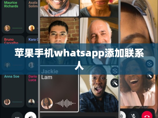 苹果手机whatsapp添加联系人