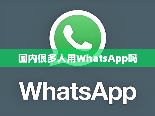国内很多人用WhatsApp吗