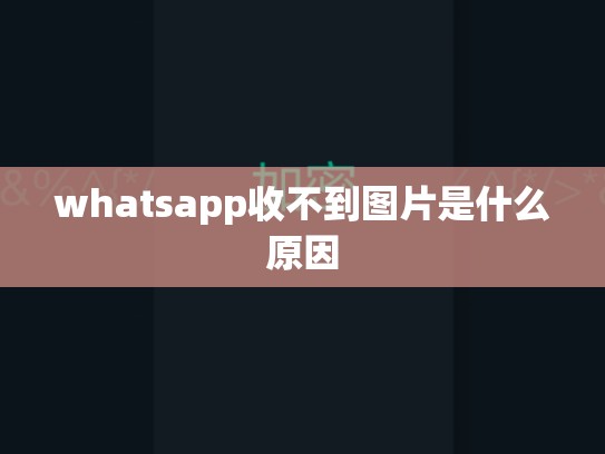 whatsapp收不到图片是什么原因