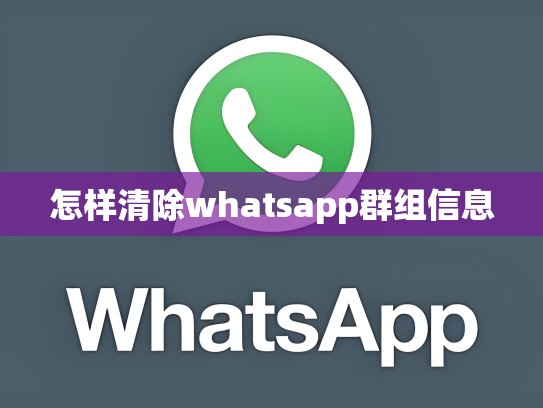 怎样清除whatsapp群组信息