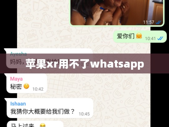 苹果xr用不了whatsapp