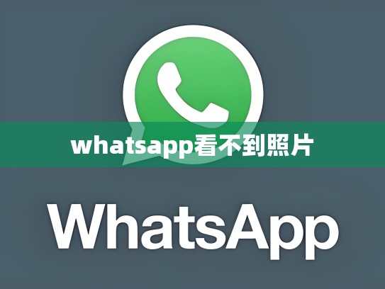 whatsapp看不到照片