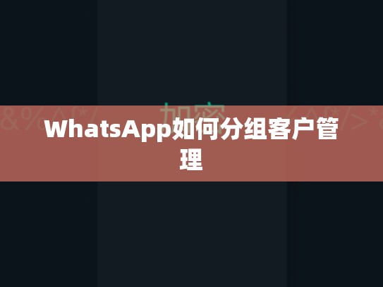 WhatsApp如何分组客户管理