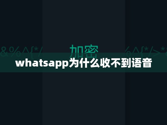 whatsapp为什么收不到语音