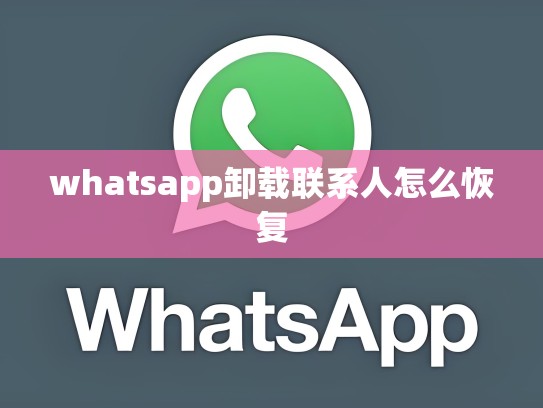 whatsapp卸载联系人怎么恢复