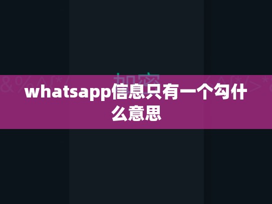 whatsapp信息只有一个勾什么意思