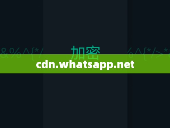 cdn.whatsapp.net