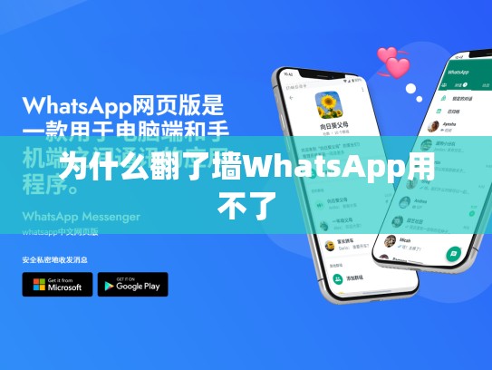 为什么翻了墙WhatsApp用不了