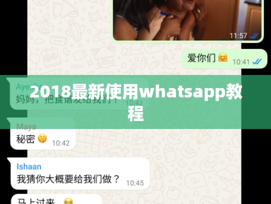 2018最新使用whatsapp教程