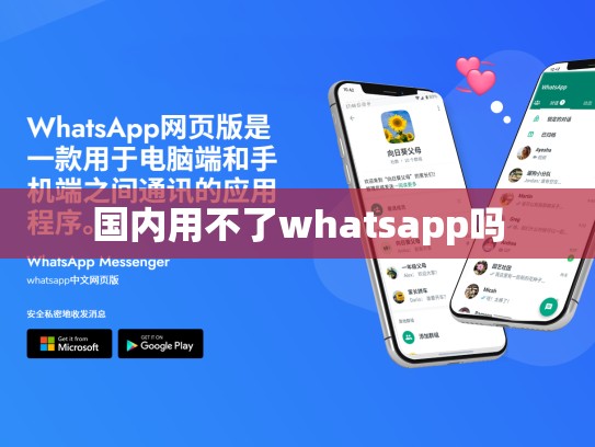 国内用不了whatsapp吗
