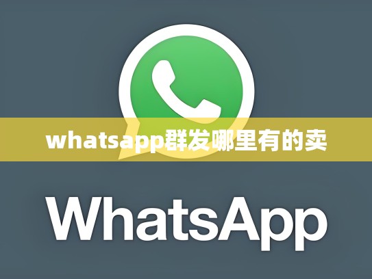 whatsapp群发哪里有的卖