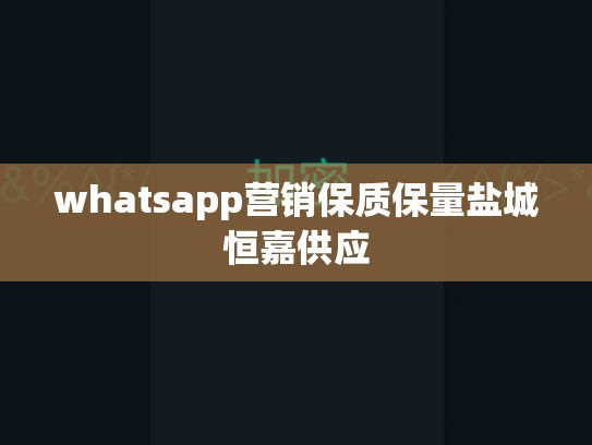 whatsapp营销保质保量盐城恒嘉供应