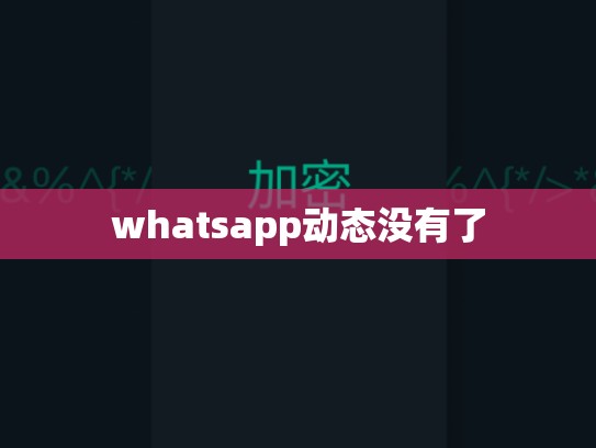 whatsapp动态没有了
