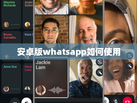 安卓版whatsapp如何使用