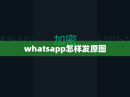 whatsapp怎样发原图