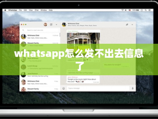 whatsapp怎么发不出去信息了
