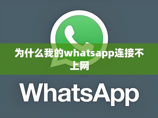 为什么我的whatsapp连接不上网