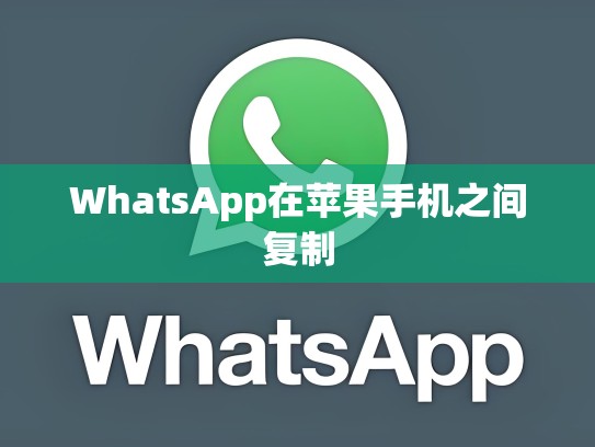 WhatsApp在苹果手机之间复制