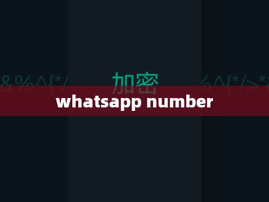 whatsapp number