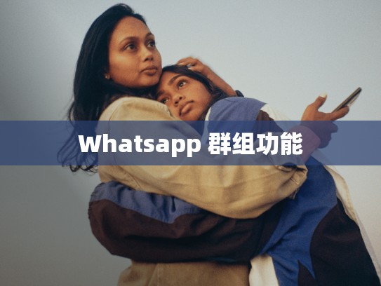 Whatsapp 群组功能